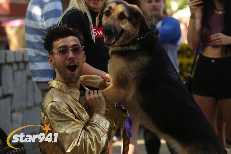 MAX M&G at Woofstock Suwanee 2018 MAX M&G at Woofstock Suwanee 2018