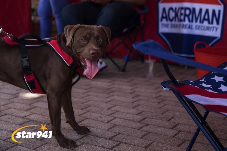 Woofstock Smryna 2018 Woofstock Smryna 2018