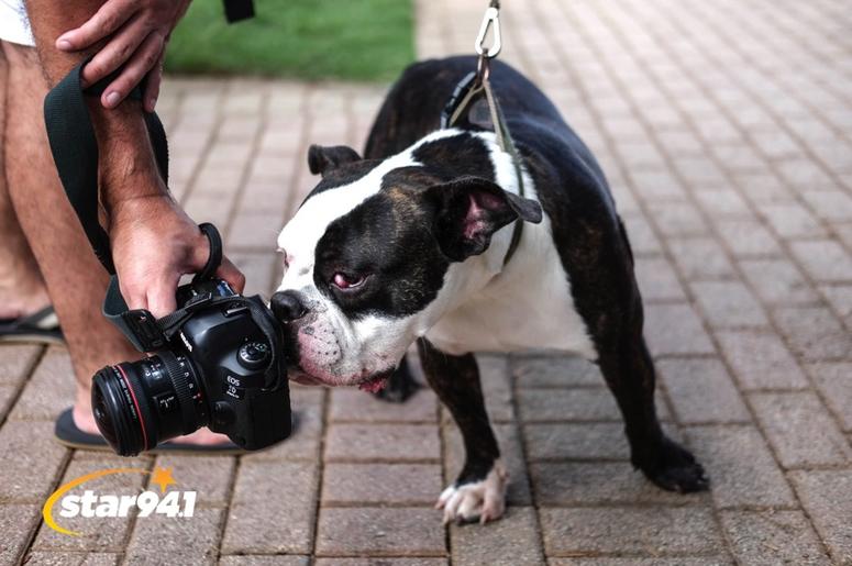Woofstock Smryna 2018 Woofstock Smryna 2018