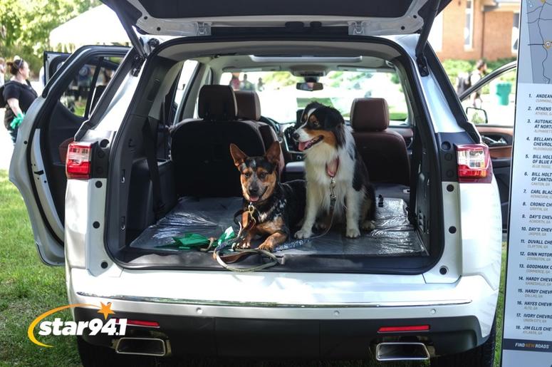Woofstock Smryna 2018 Woofstock Smryna 2018