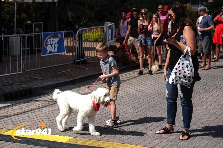 Woofstock Smryna 2018 Woofstock Smryna 2018