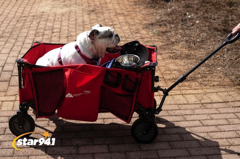 Woofstock Smryna 2018 Woofstock Smryna 2018