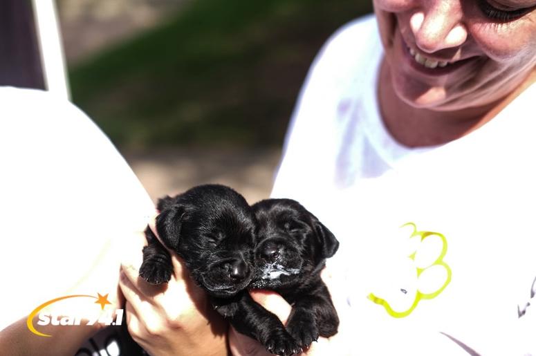 Woofstock Smryna 2018 Woofstock Smryna 2018