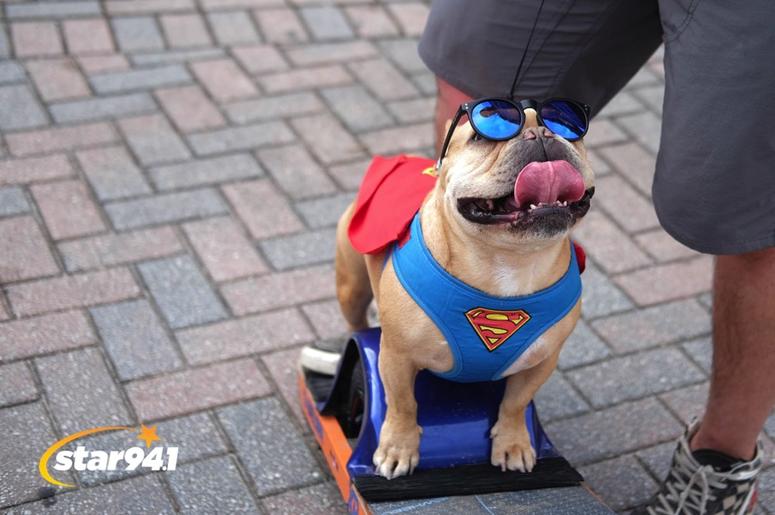 Woofstock Smryna 2018 Woofstock Smryna 2018