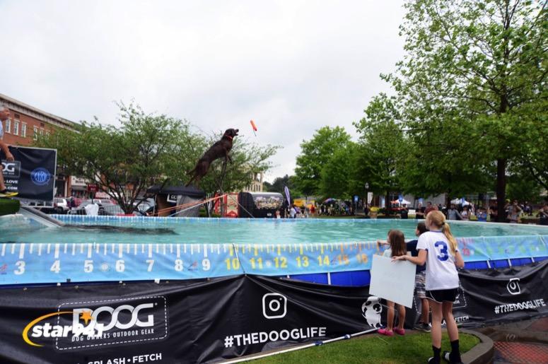 Woofstock Suwanee 2019 Woofstock Suwanee 2019