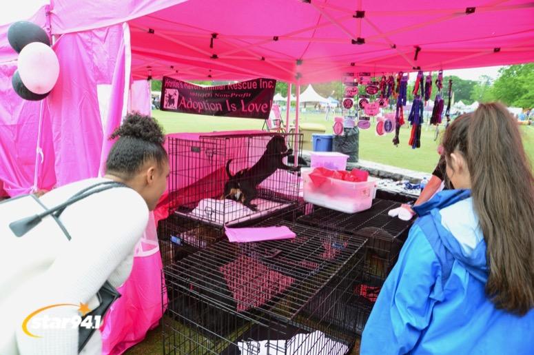 Woofstock Suwanee 2019 Woofstock Suwanee 2019