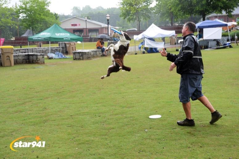 Woofstock Suwanee 2019 Woofstock Suwanee 2019