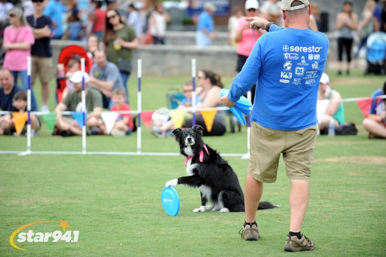 Woofstock Suwanee 2018 Woofstock Suwanee 2018