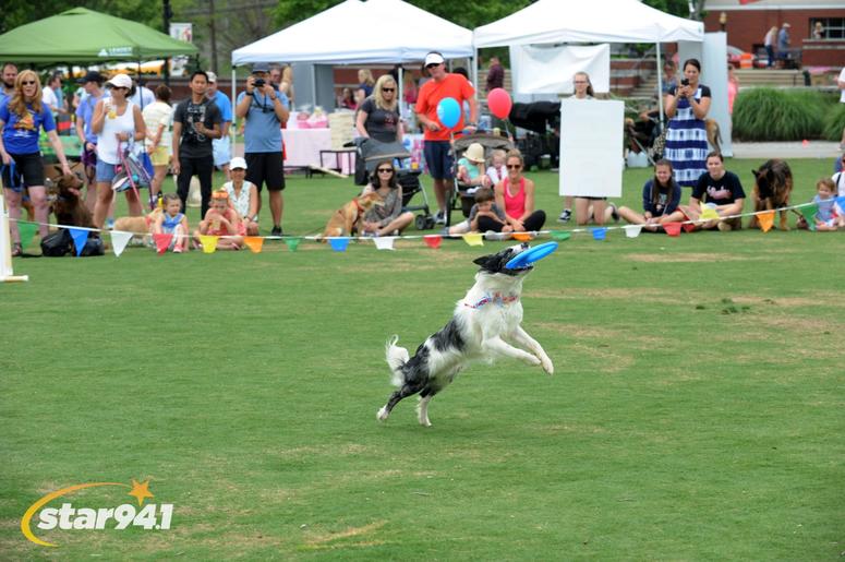 Woofstock Suwanee 2018 Woofstock Suwanee 2018