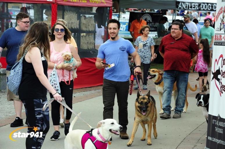 Woofstock Suwanee 2019 Woofstock Suwanee 2019