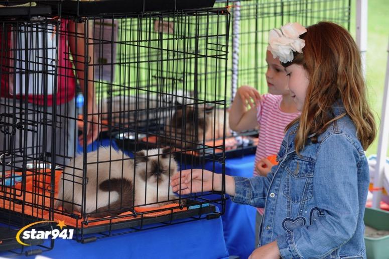 Woofstock Suwanee 2019 Woofstock Suwanee 2019