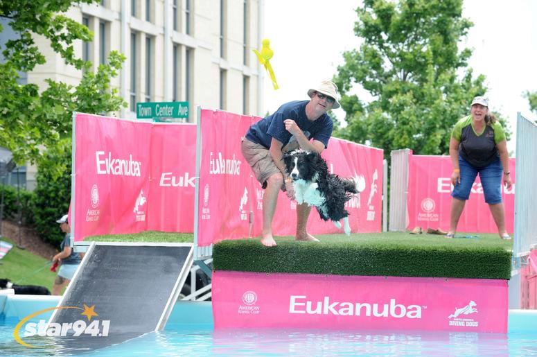 Woofstock Suwanee 2018 Woofstock Suwanee 2018
