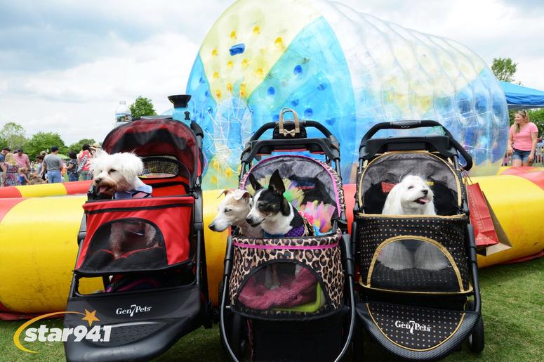 Woofstock Suwanee 2018 Woofstock Suwanee 2018