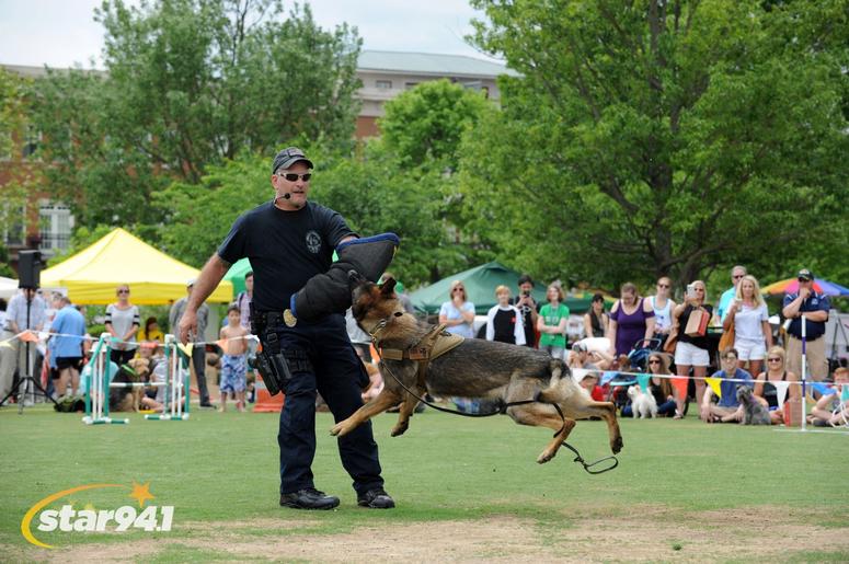 Woofstock Suwanee 2018 Woofstock Suwanee 2018