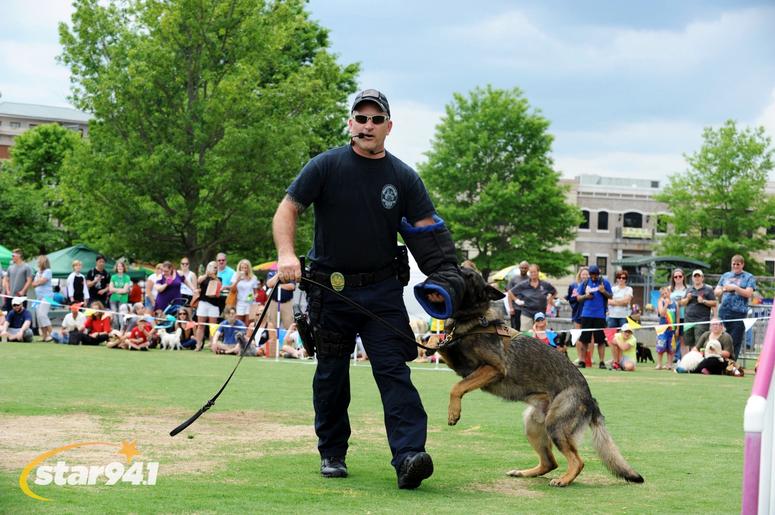 Woofstock Suwanee 2018 Woofstock Suwanee 2018