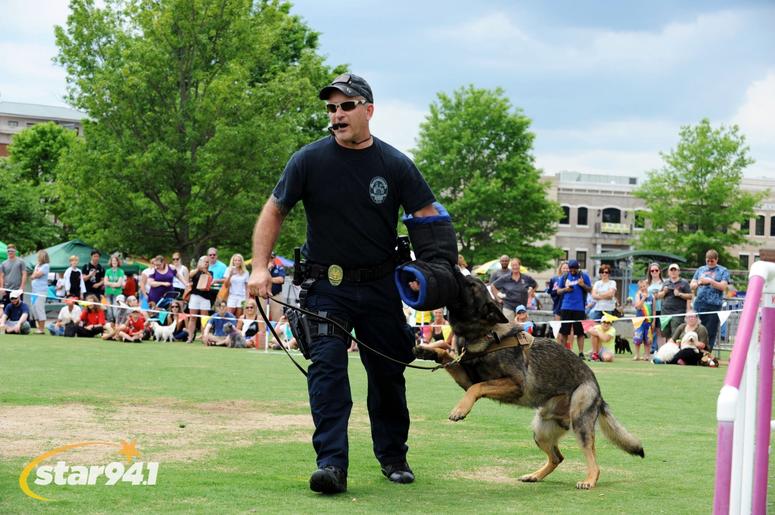 Woofstock Suwanee 2018 Woofstock Suwanee 2018