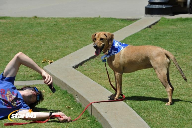 Woofstock Suwanee 2019 Woofstock Suwanee 2019