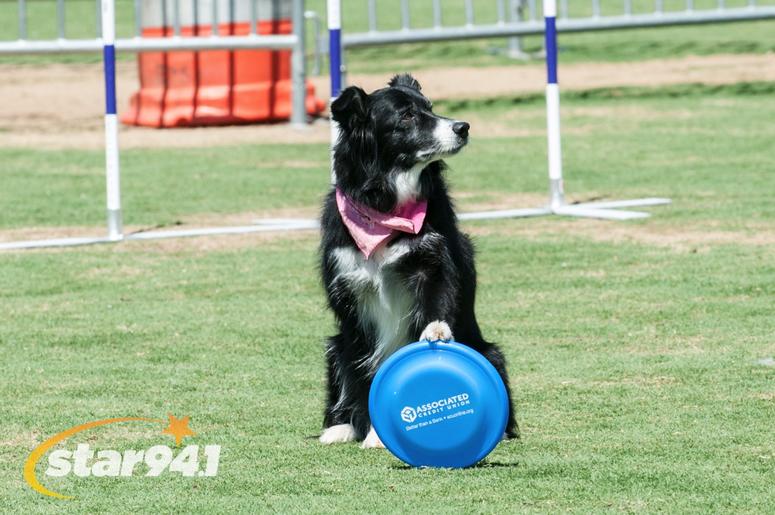 Woofstock Suwanee 2018 Woofstock Suwanee 2018