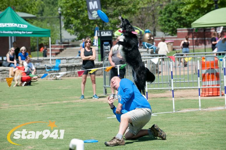 Woofstock Suwanee 2018 Woofstock Suwanee 2018
