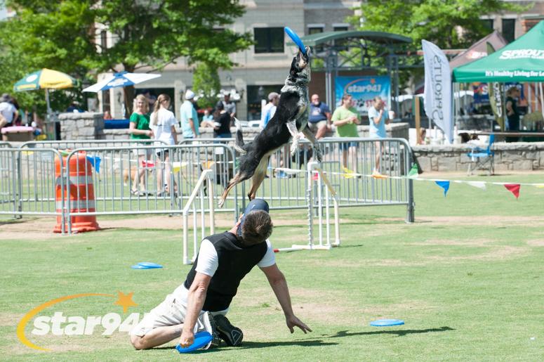 Woofstock Suwanee 2018 Woofstock Suwanee 2018