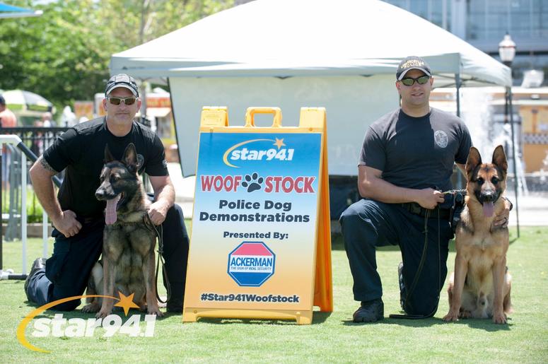 Woofstock Suwanee 2018 Woofstock Suwanee 2018