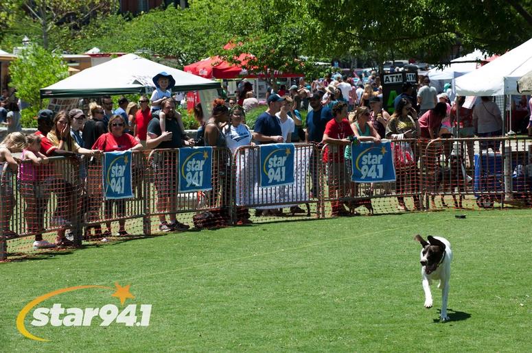 Woofstock Suwanee 2018 Woofstock Suwanee 2018