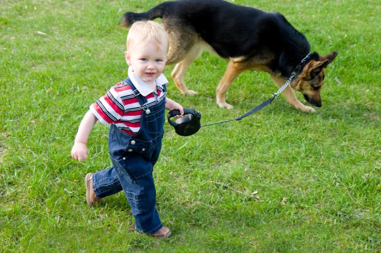 Retractable Dog Leash
