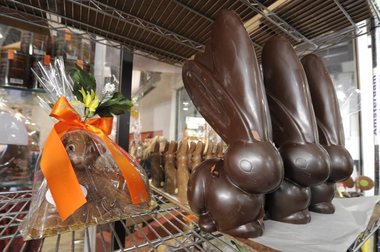 Chocolate Bunnies