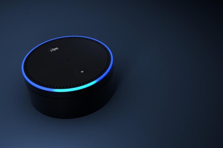 Echo Dot Echo Dot