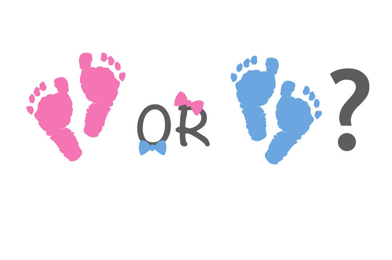 Gender Reveal Gender Reveal