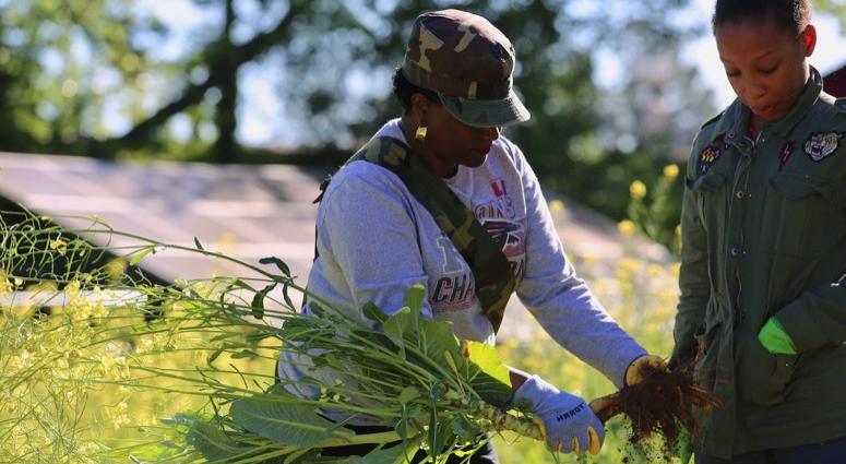 1Day1Thing Earth Day 2019 Metro Atlanta Urban Farm 1Day1Thing Earth Day 2019 Metro Atlanta Urban Farm