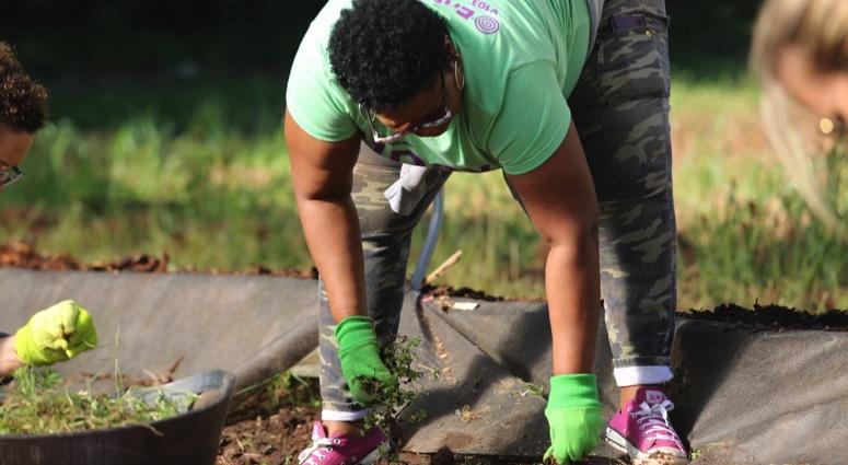 1Day1Thing Earth Day 2019 Metro Atlanta Urban Farm 1Day1Thing Earth Day 2019 Metro Atlanta Urban Farm