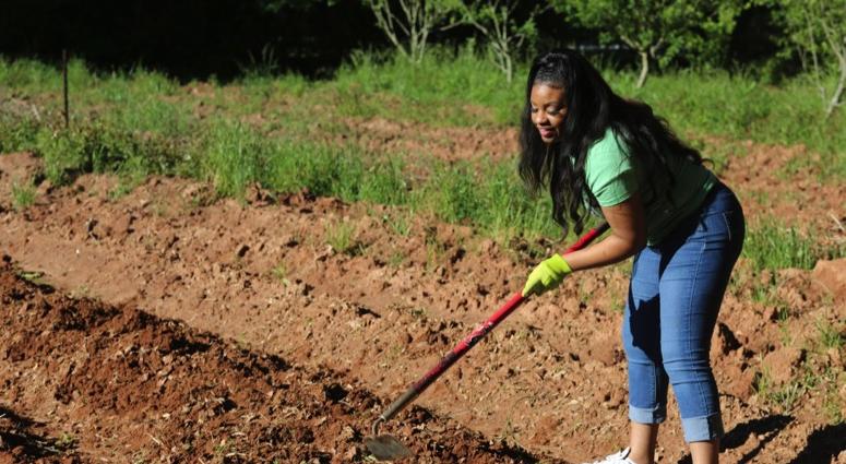 1Day1Thing Earth Day 2019 Metro Atlanta Urban Farm 1Day1Thing Earth Day 2019 Metro Atlanta Urban Farm
