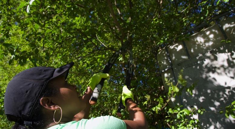 1Day1Thing Earth Day 2019 Metro Atlanta Urban Farm 1Day1Thing Earth Day 2019 Metro Atlanta Urban Farm