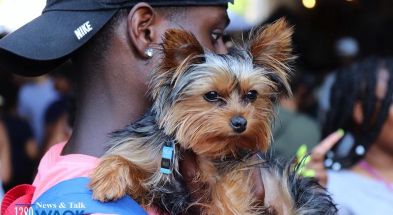 Sweet Auburn Springfest 2018 Sweet Auburn Springfest 2018