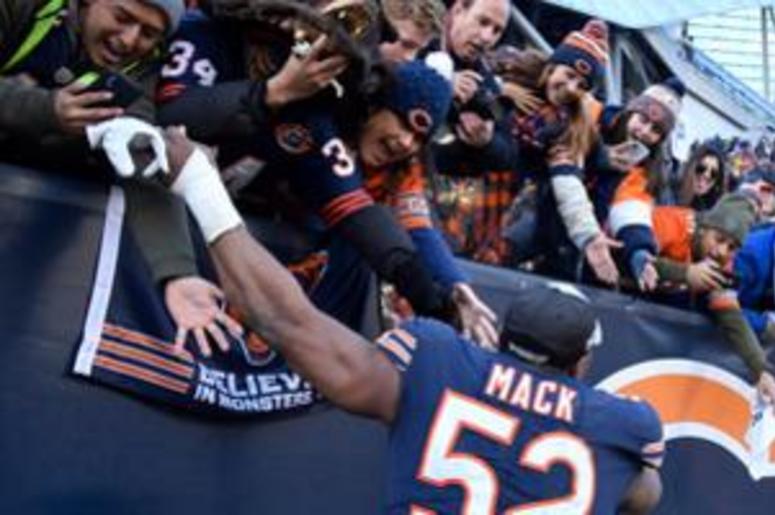 bears bears