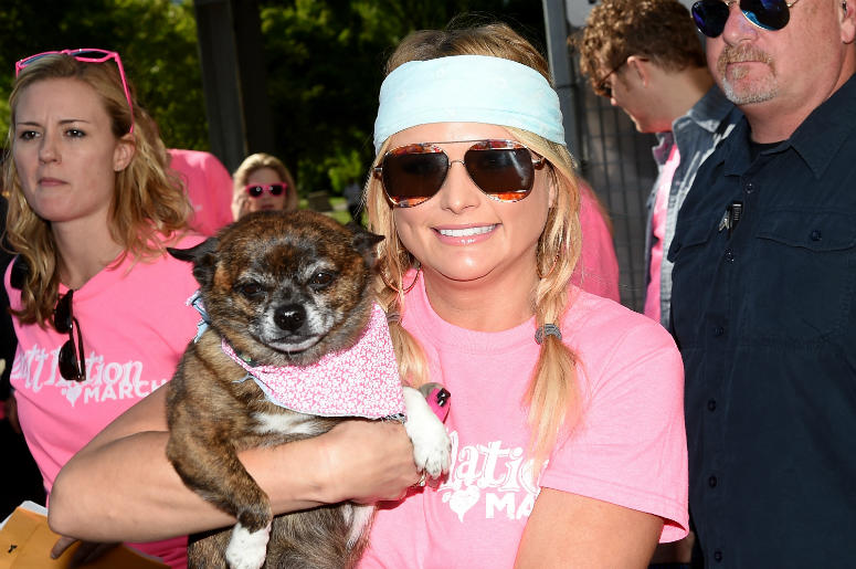 Miranda Lambert attends the Miranda MuttNation March at Nissan Stadium on June 8, 2017 in Nashville, Tennessee Miranda Lambert attends the Miranda MuttNation March at Nissan Stadium on June 8, 2017 in Nashville, Tennessee
