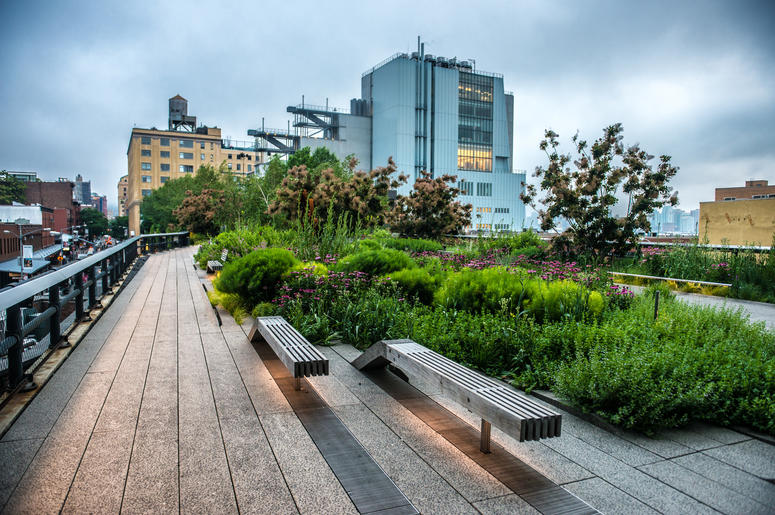 The High Line