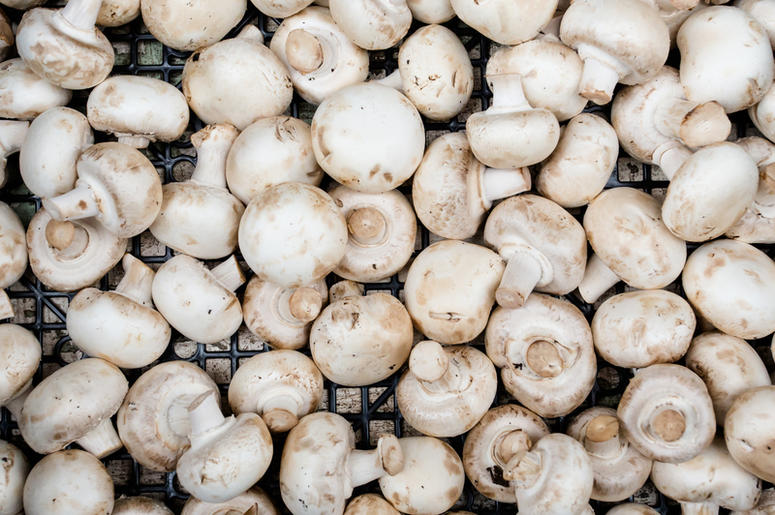 Mushrooms Mushrooms