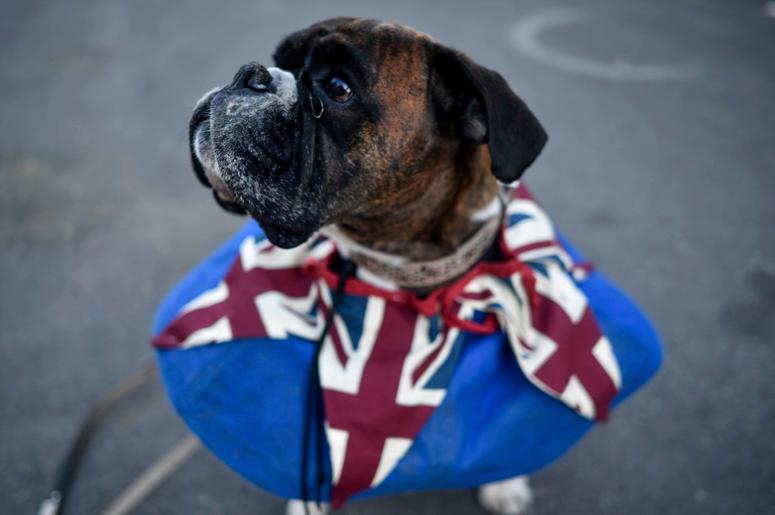 Prince Harry, Meghan Markle Royal Wedding Prince Harry, Meghan Markle Royal Wedding