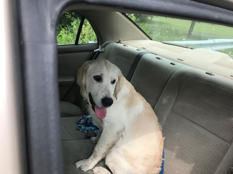 Bouy was found Sunday morning. He had been missing since a plane crashed into a Union Vale home on Saturday. Dutchess crash
