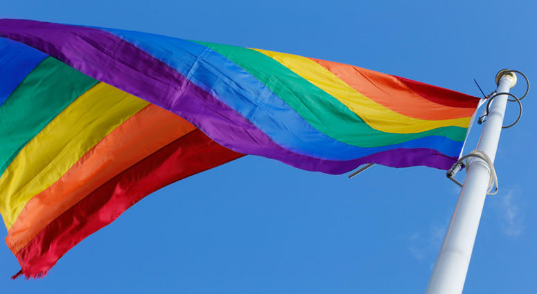 Rainbow Pride Flag Rainbow Pride Flag