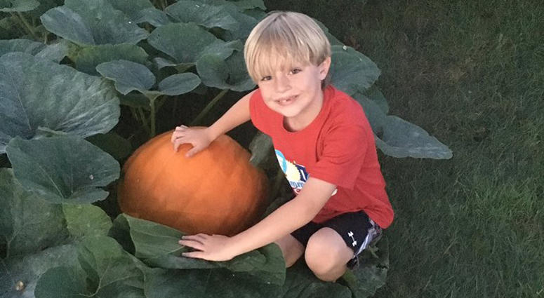 Kevin Beckman, 6, with a pumpkin gifted to him by his late grandfather Kevin Beckman