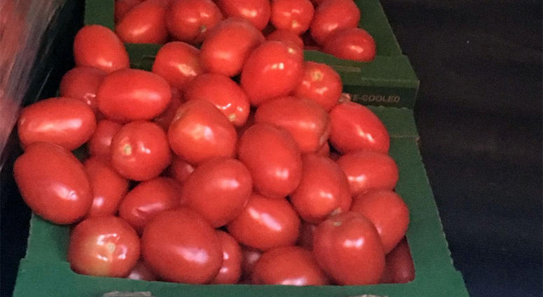 Tomato Box Heroin Smuggling Tomato Box Heroin Smuggling