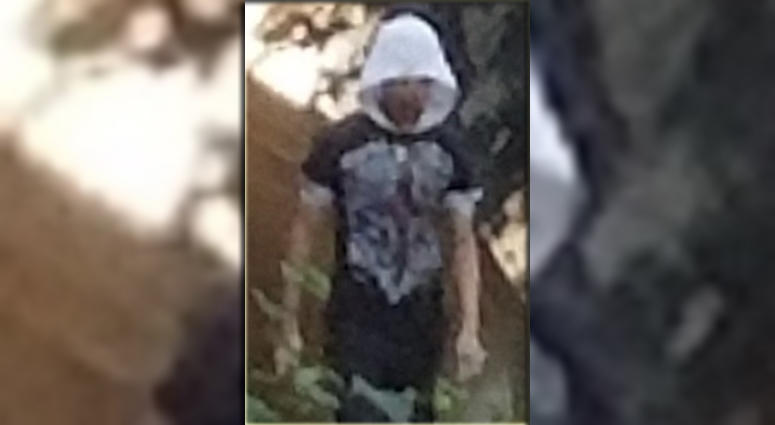 Suspect who attacked a woman in the Bronx. Bronx attacker