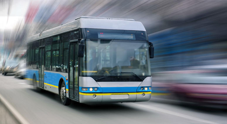 Bus Bus