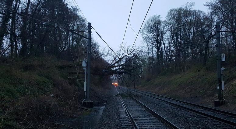 NJ Transit downed tree NJ Transit downed tree