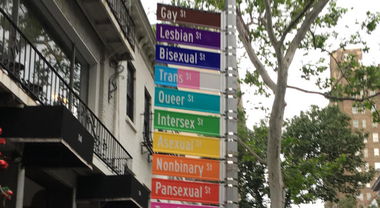 The new street signs installed at the intersection of Gay and Christopher streets. Gay Street Installation