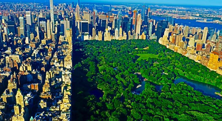 Central Park's green trees add a pop of color in this picture taken on June 26, 2018 A Green Central Park