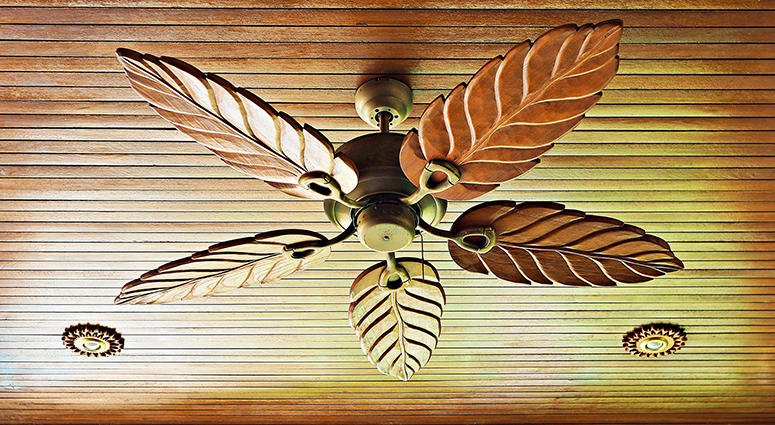 Ceiling Fan
